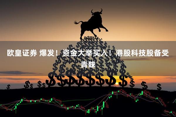 欧皇证券 爆发！资金大举买入！港股科技股备受青睐