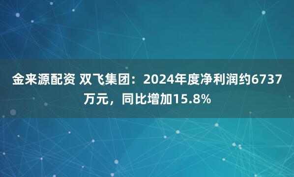 金来源配资 双飞集团：2024年度净利润约6737万元，同比增加15.8%