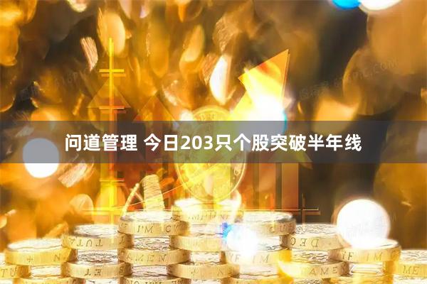 问道管理 今日203只个股突破半年线