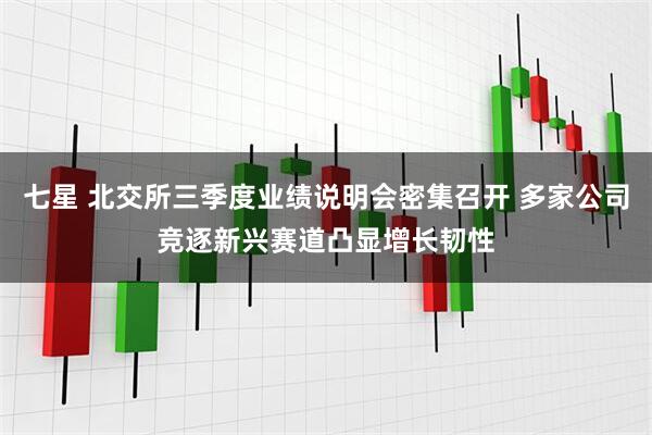 七星 北交所三季度业绩说明会密集召开 多家公司竞逐新兴赛道凸显增长韧性
