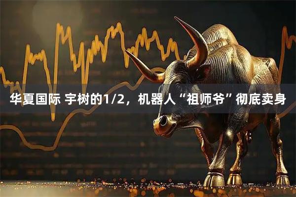华夏国际 宇树的1/2，机器人“祖师爷”彻底卖身