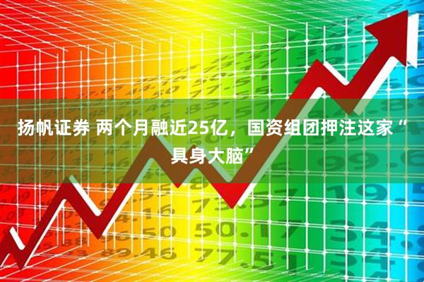 扬帆证券 两个月融近25亿，国资组团押注这家“具身大脑”
